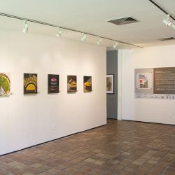 exposicao-cidade-gourmet-artista-pernambucano-museu-murillo-la-greca-recife (8)